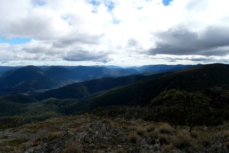 Mount Aggie, Brindabella Range, Namadgi National Park 14