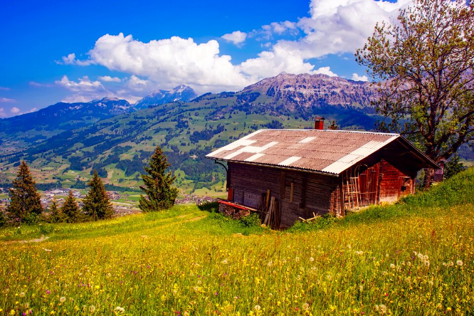 Cabin house landscape