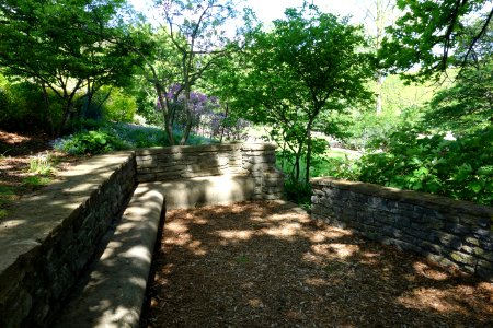 Mount Airy Arboretum - DSC03861