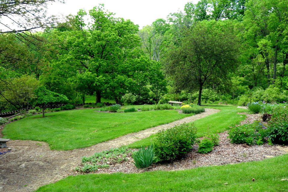 Mount Airy Arboretum - DSC03802