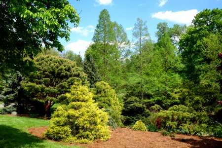 Mount Airy Arboretum - DSC03796
