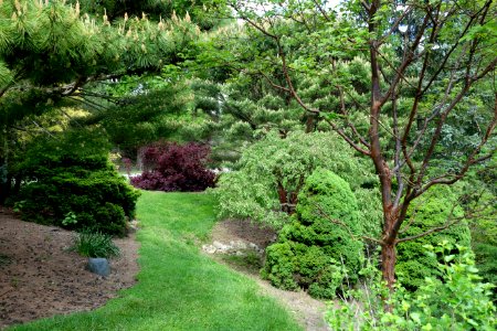 Mount Airy Arboretum - DSC03795
