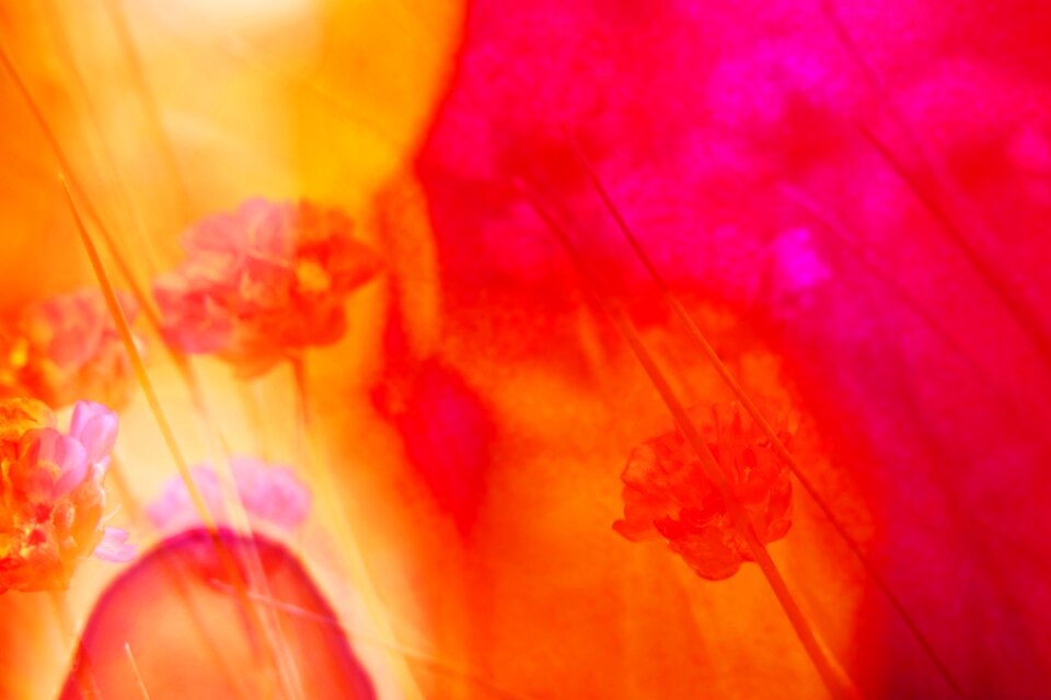 Abstract screen background flowers