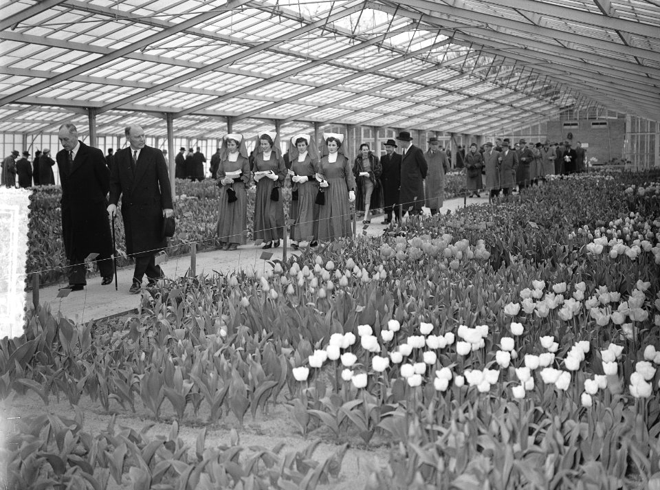 Mr. L. A. Kesper Commissaris der Koningin Zuid Holland opent Keukenhof, Bestanddeelnr 907-0481