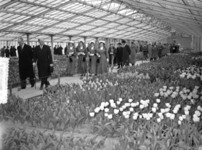 Mr. L. A. Kesper Commissaris der Koningin Zuid Holland opent Keukenhof, Bestanddeelnr 907-0481