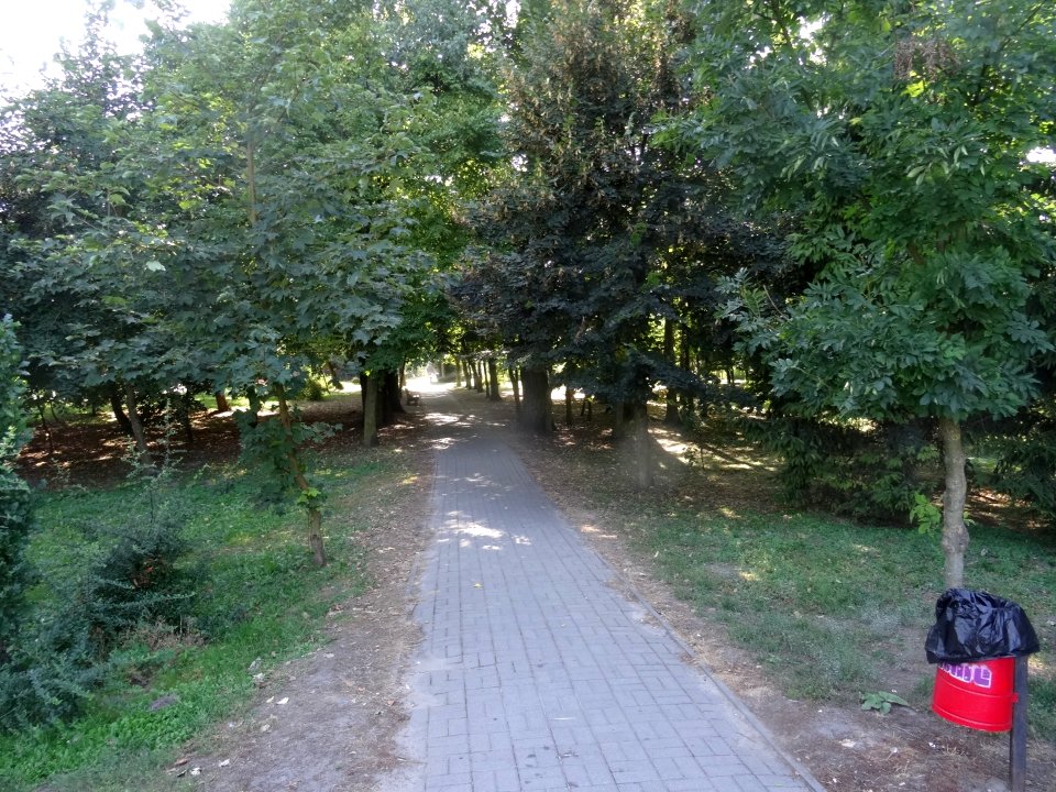 Mrocza Jagiello park4