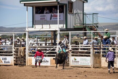 Man bucking action photo