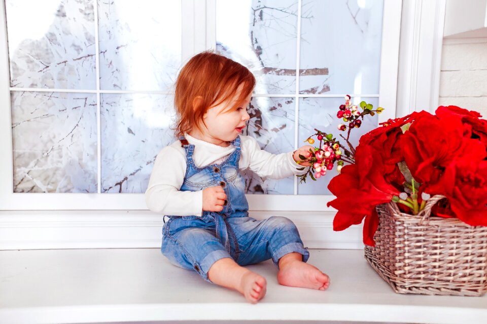 Basket flowers red