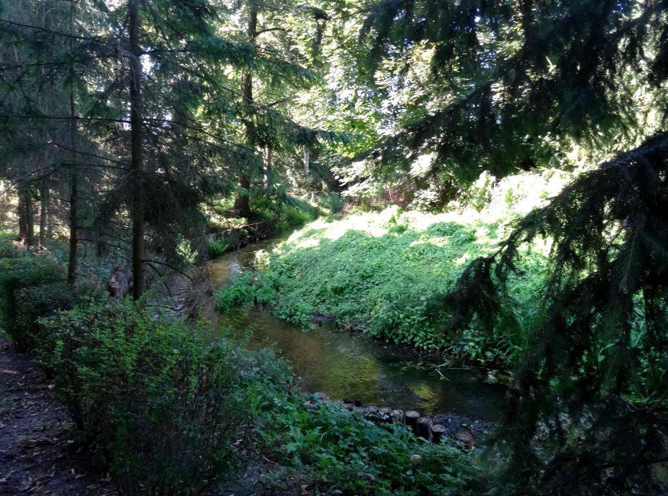 Mrocza Jagiello park6