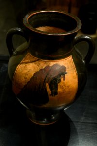 MSR - Amphore à figures noires - tête de cheval - 26169
