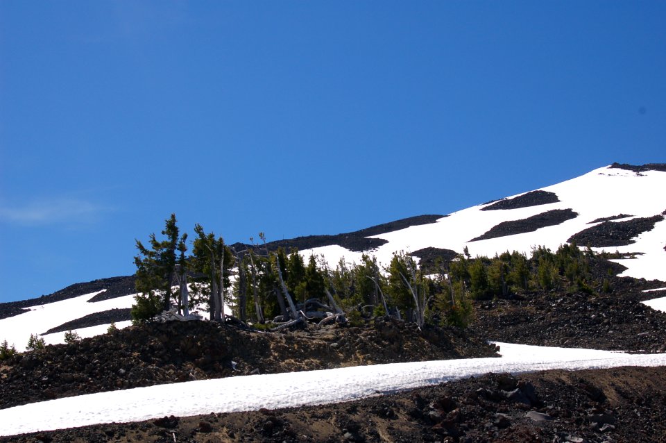 Mt. Bachelor