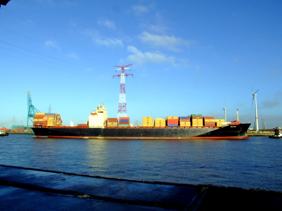 MSC Kyoto IMO 7825411, Port of Antwerp 19Dec2008 pic12