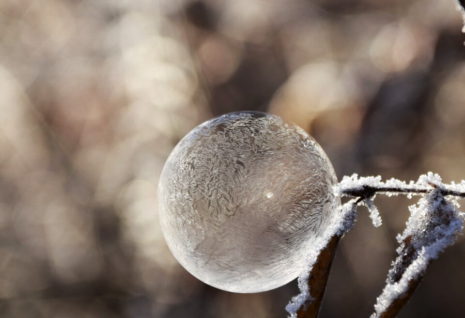 Frost winter beautiful