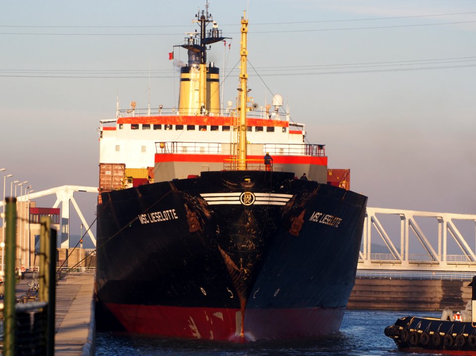 MSC Lieselotte (ship, 1983), Port of Antwerp pic1