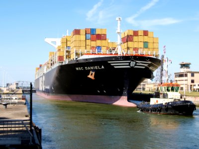 MSC Daniela p1