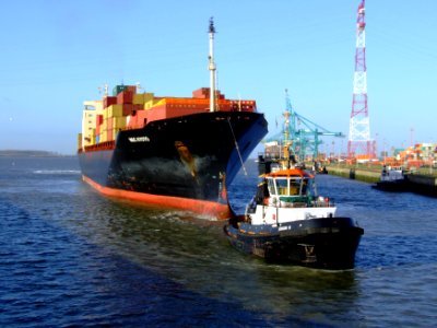 MSC Kyoto IMO 7825411, Port of Antwerp 19Dec2008 pic15