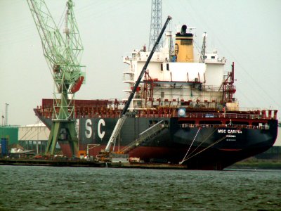 MSC Carina pic02 at Port of Antwerp, Belgium 01-Sep-2005