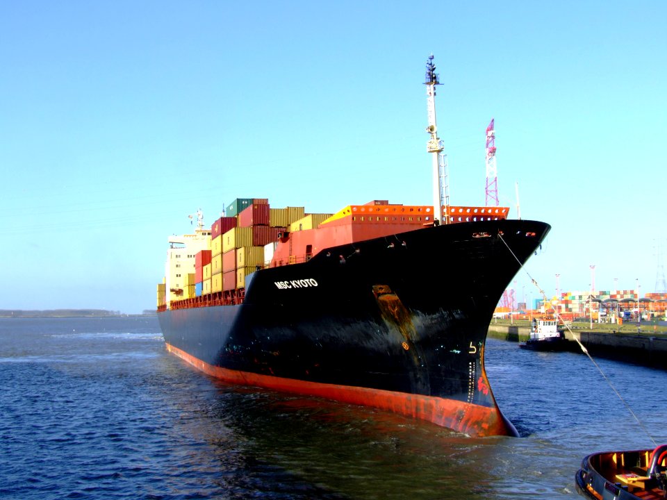 MSC Kyoto IMO 7825411, Port of Antwerp 19Dec2008 pic16