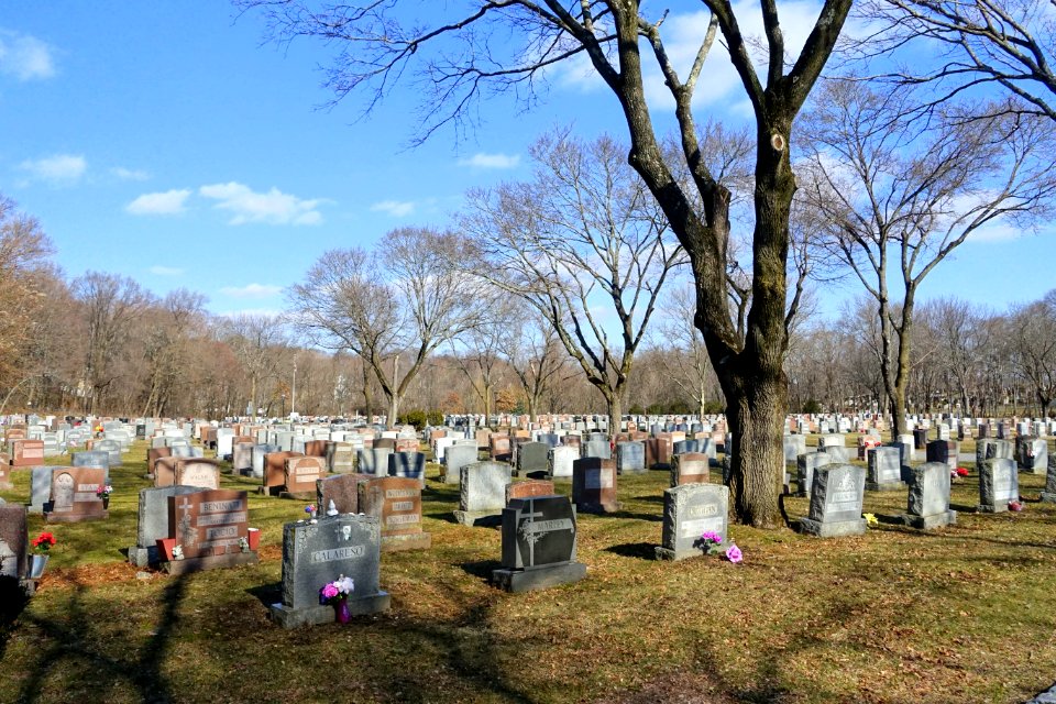 Mt. Pleasant Cemetery - Arlington, MA - DSC08600