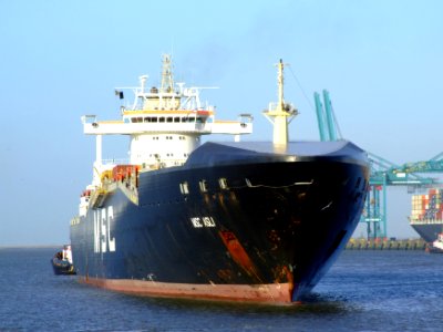 MSC Asli, Port of Antwerp 19Dec2008 pic3