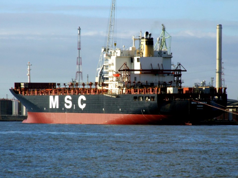 MSC Carina pic1, Port of Antwerp, Belgium 07-Dec-2008