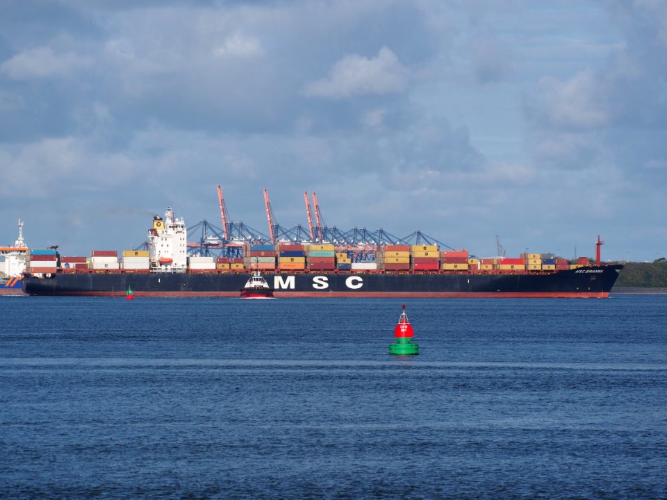 MSC Brianna (ship, 1996) IMO 9103685 Port of Rotterdam pic1