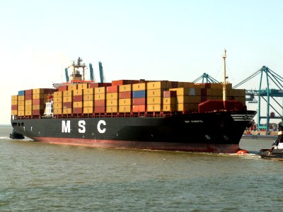 MSC Roberta 14Jun05 Antw, at Port of Antwerp, Belgium 14-Jun-2005