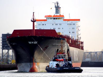 MSC Roberta (ship, 1993), IMO 9038907, Port of Antwerp, Belgium pic 4