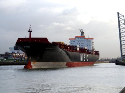 MSC Roberta (ship, 1993), IMO 9038907, Port of Antwerp, Belgium pic 1
