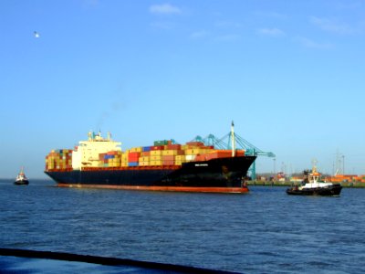 MSC Kyoto IMO 7825411, Port of Antwerp 19Dec2008 pic06