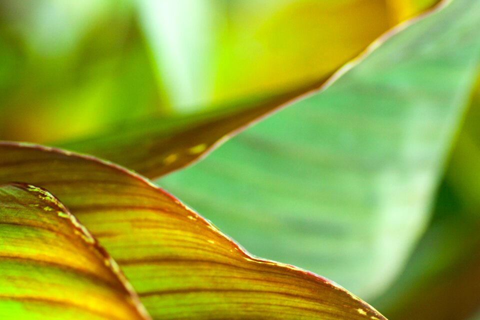 Background abstract detail