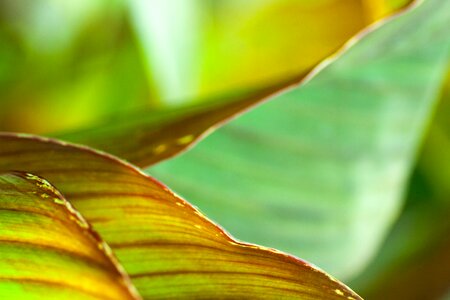 Background abstract detail