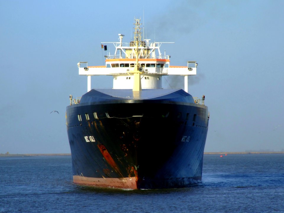 MSC Asli, Port of Antwerp 19Dec2008 pic
