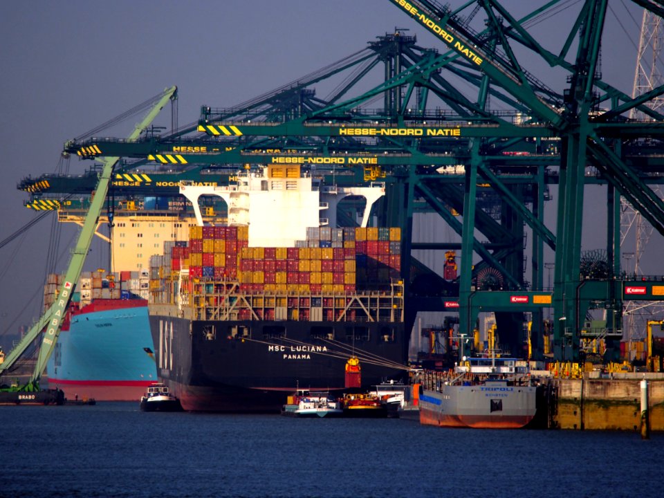 MSC Luciana - IMO 9398383, Evelyn Maersk - IMO 9321512, Tripoli - IMO 6105023 in Deurganckdok, Port of Antwerp