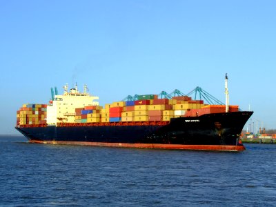 MSC Kyoto IMO 7825411, Port of Antwerp 19Dec2008 pic07