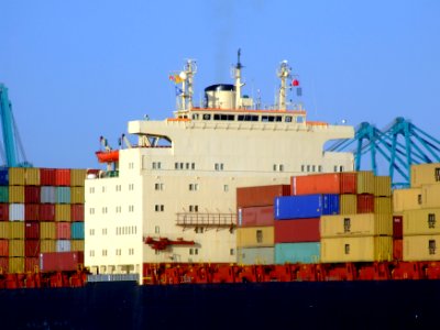 MSC Kyoto IMO 7825411, Port of Antwerp 19Dec2008 pic08