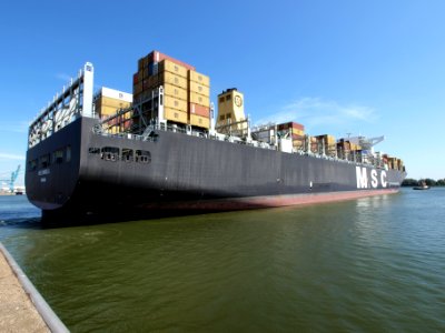 MSC Daniela p4