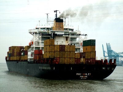 MSC Hailey p1, at Port of Antwerp, Belgium 23-Dec-2005