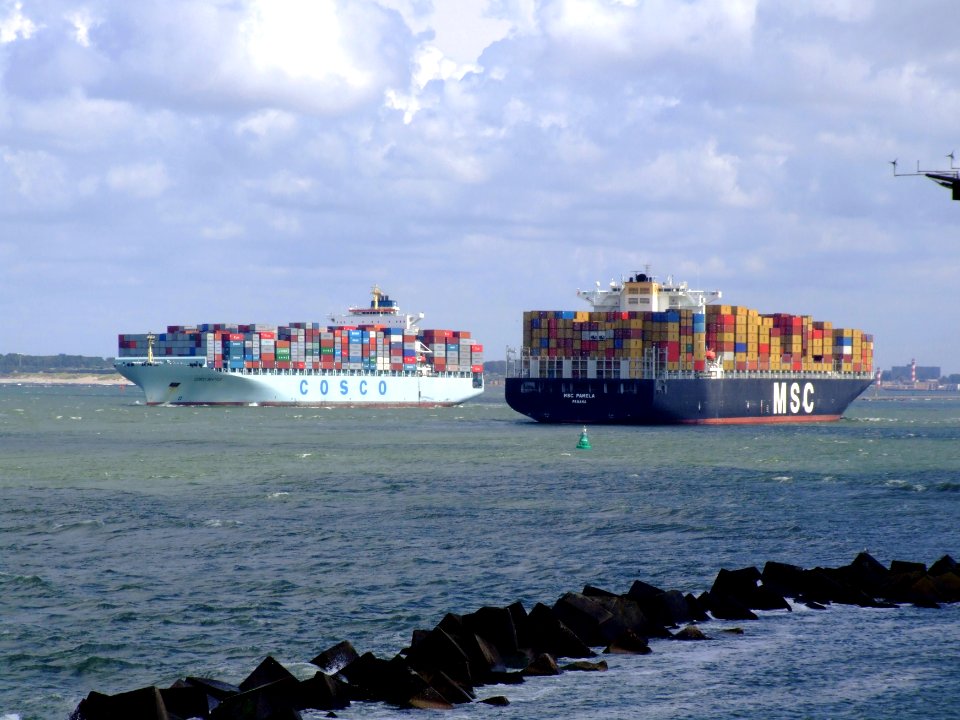 MSC Pamela p01, at the Amazone harbour, Port of Rotterdam, Holland 29-Jul-2007
