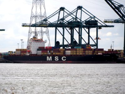 MSC Donata (ship, 2002) IMO 9237151, Port of Antwerp