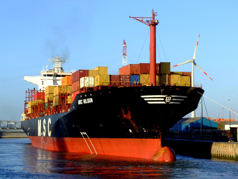 MSC Nilgun IMO 9051492, Port of Antwerp 19Dec2008