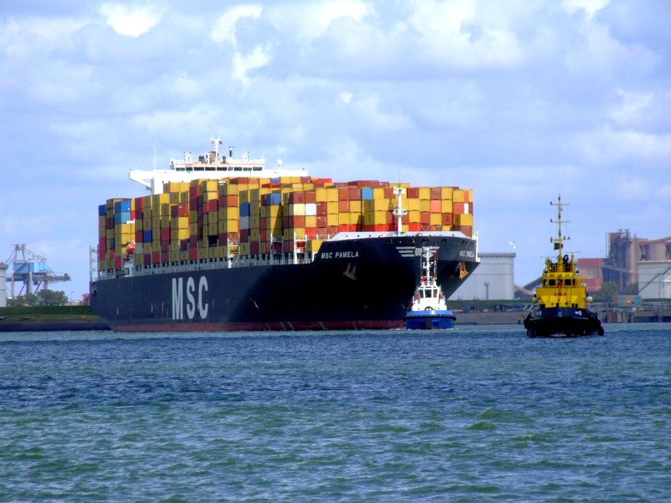 MSC Pamela p02, at the Amazone harbour, Port of Rotterdam, Holland 29-Jul-2007