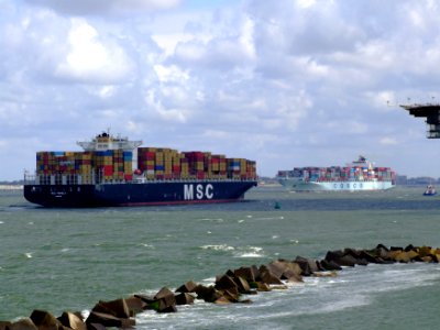 MSC Pamela & Cosco Seattle pic1 at Prot of Rotterdam, Holland 29-Jul-2007