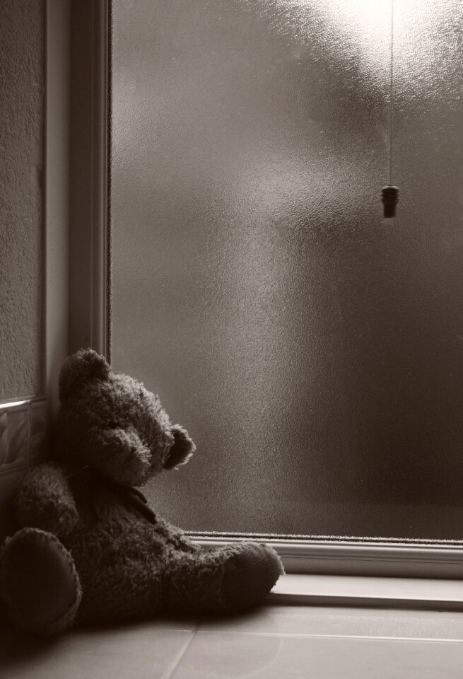 Cold bear toy