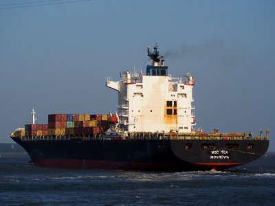 MSC Itea - IMO 9157698, Port of Antwerp pic 8