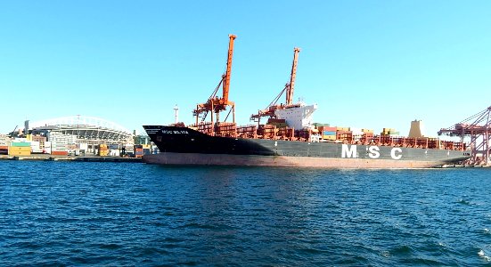 MSC Silvia container ship