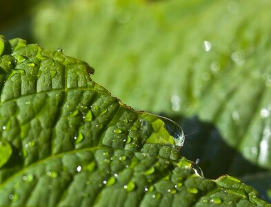 Water closeup nature