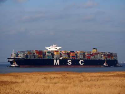 MSC Trieste (ship, 2011) IMO 948447 Schelde Port of Antwerp pic8