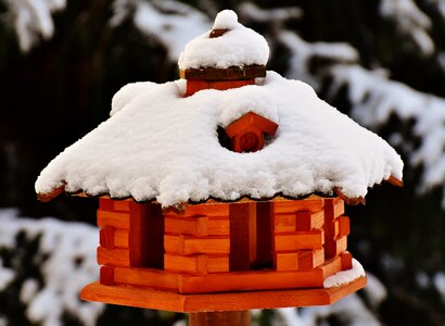 Winter snow feed photo