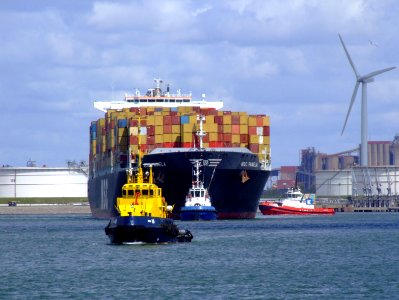 MSC Pamela p03, at the Amazone harbour, Port of Rotterdam, Holland 29-Jul-2007
